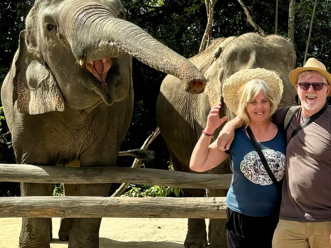 Kulen Elephant Forest-暹粒必去景点