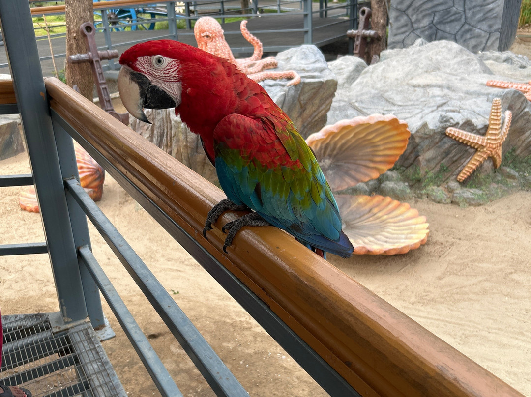 Trichy Birds Park-Tiruchirappalli District必去景点