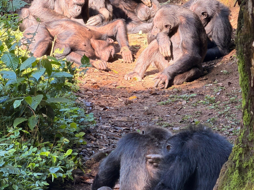 Amahoro Tours-吉佳利必去景点