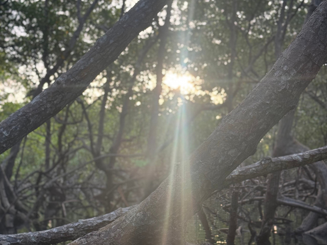 Ecomar Boipeba Ecoturismo Marinho-Ilha de Boipeba必去景点