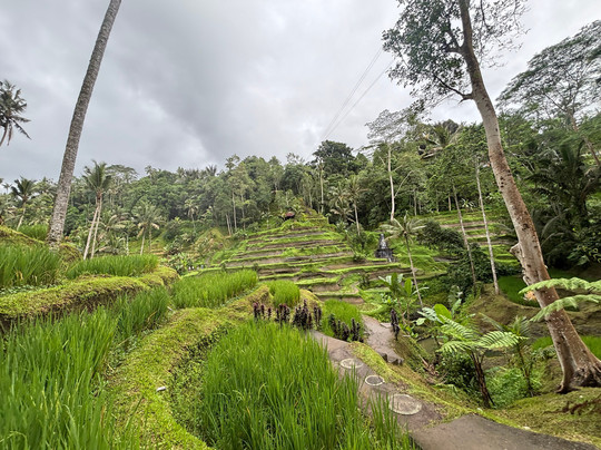 Bali Hire Driver-努沙杜瓦必去景点