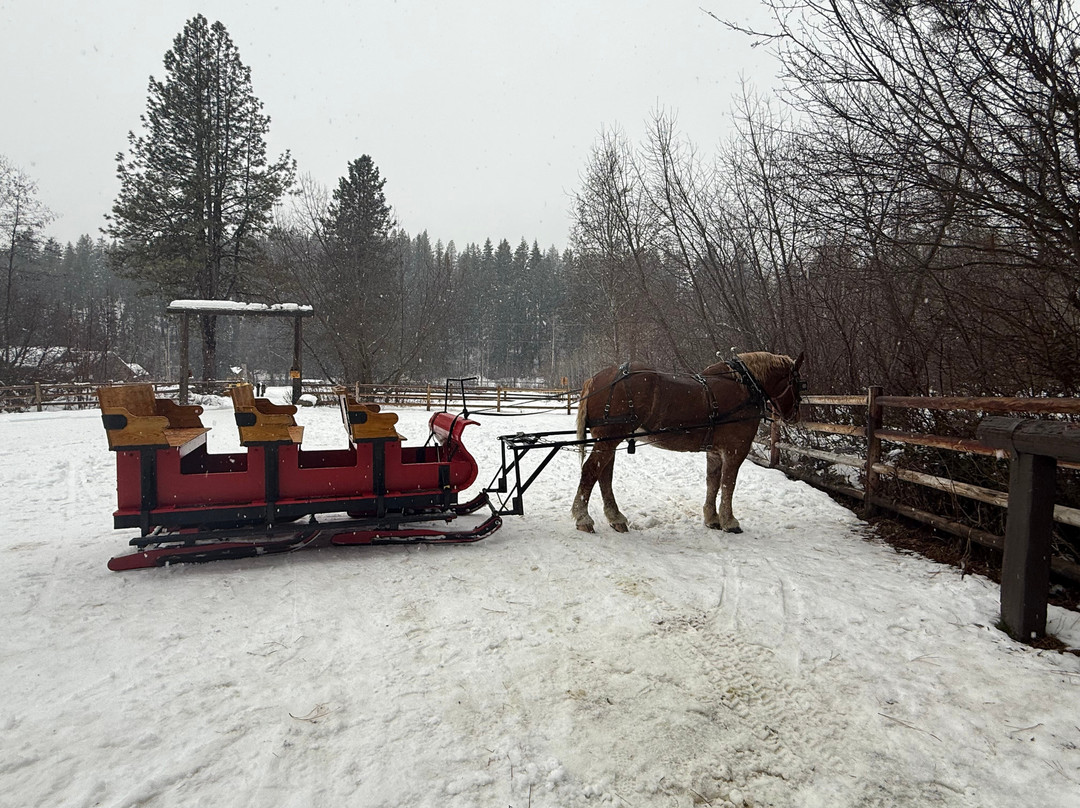 Leavenworth Sleigh Rides-莱文沃思必去景点