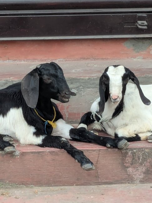 蒂萨斯酒店-官方