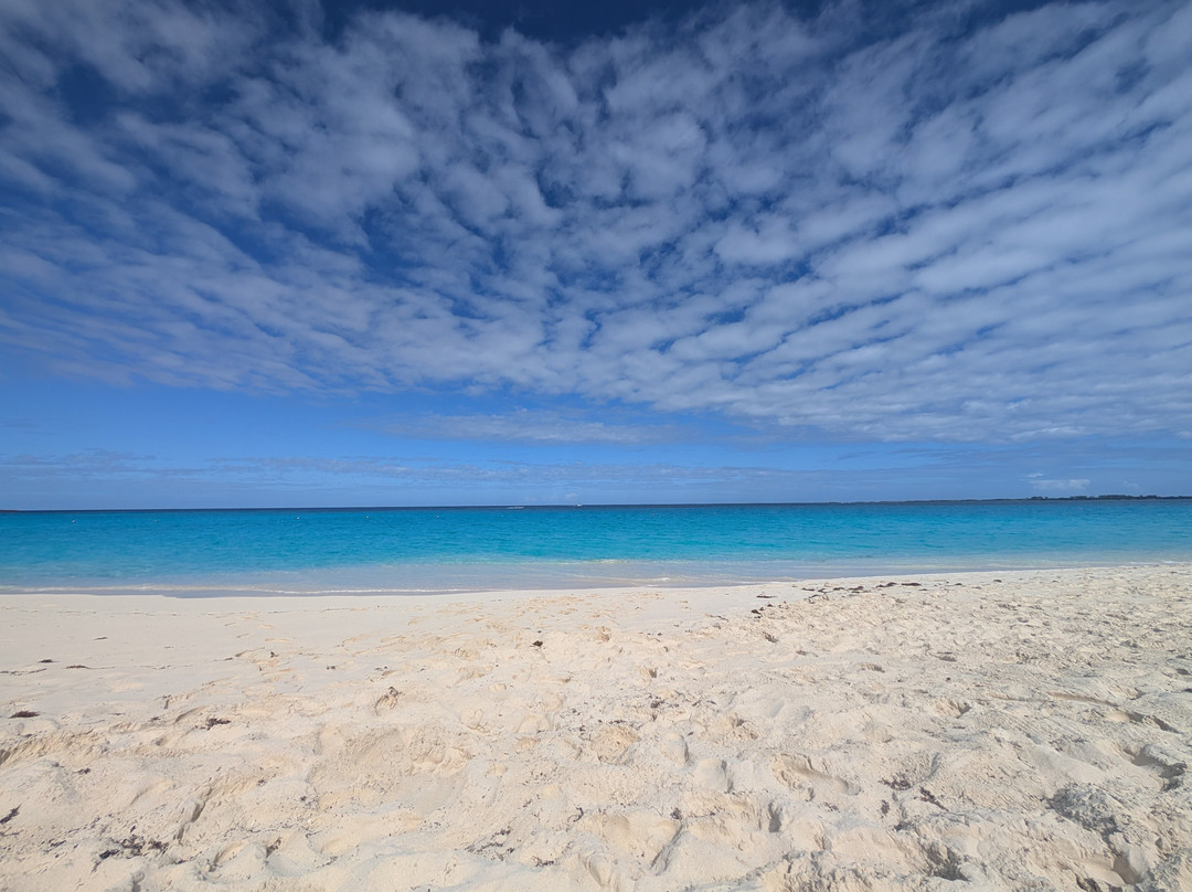 Cabbage Beach-拿骚必去景点