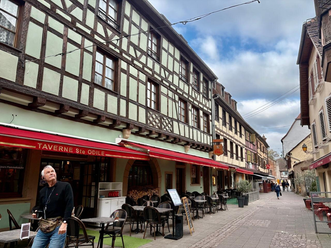 Parcours Historique d'Obernai-奥贝奈必去景点