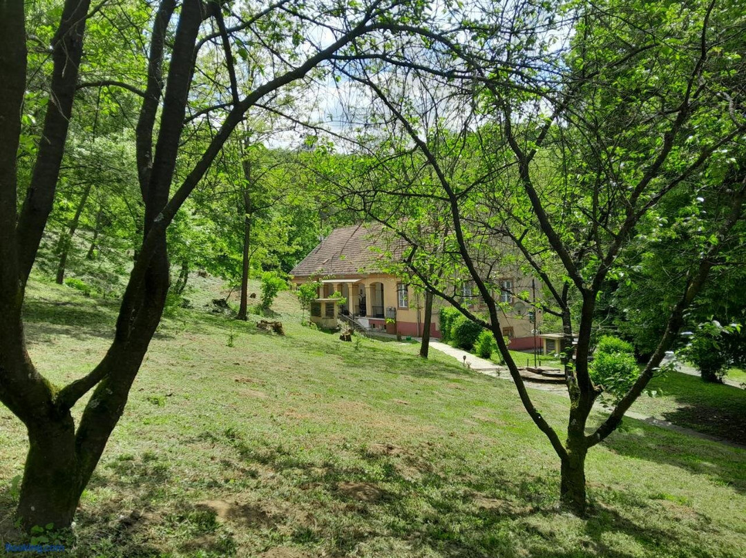 Tiliaház