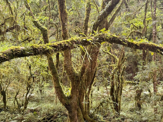 Kukummi Lodge (formerly Mackaya Bella Country Lodge)主图