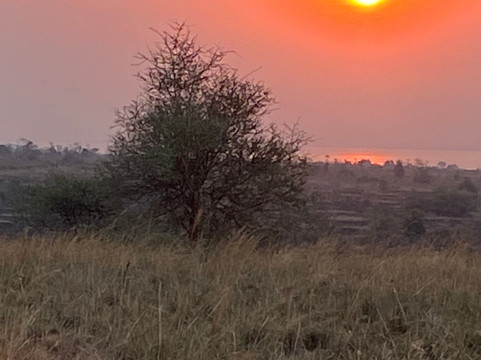 Asante Tour Safaris & Travel-坎帕拉必去景点