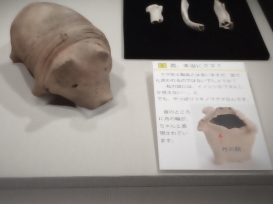 Jomon Jiyukan-青森市必去景点