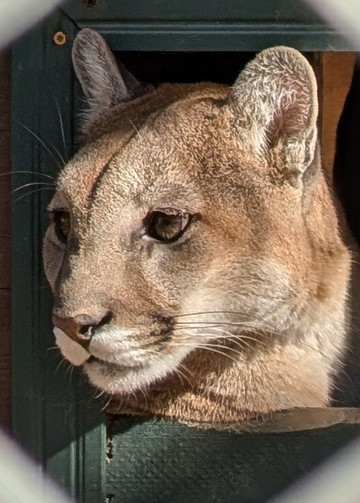Southwest Wildlife Conservation Center-斯科茨代尔必去景点