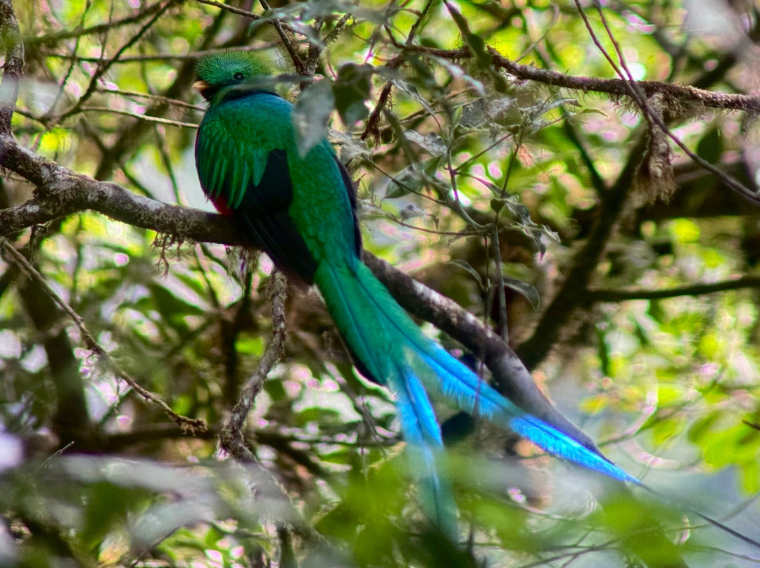 Costa Rica Focus-圣何塞必去景点
