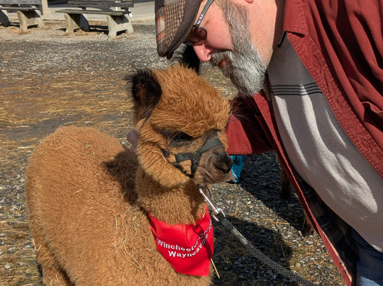 Winchester Creek Farm-韦恩斯维尔必去景点