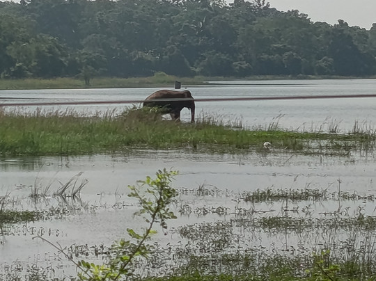 Lakpura Leisure-Moratuwa必去景点
