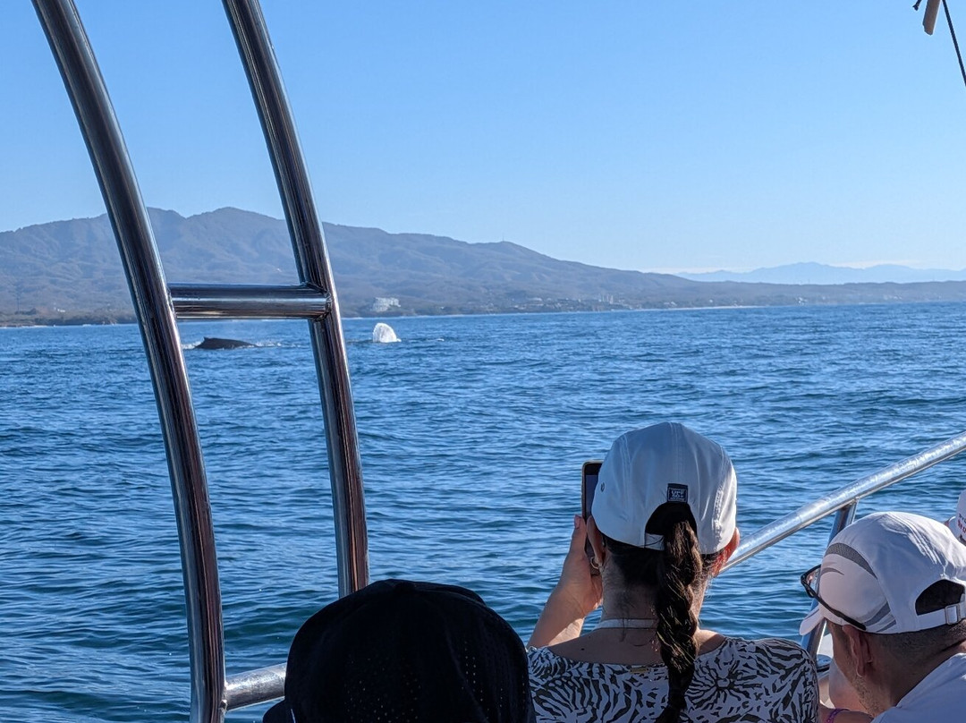 Dressel Divers Puerto Vallarta-蓬塔米塔必去景点