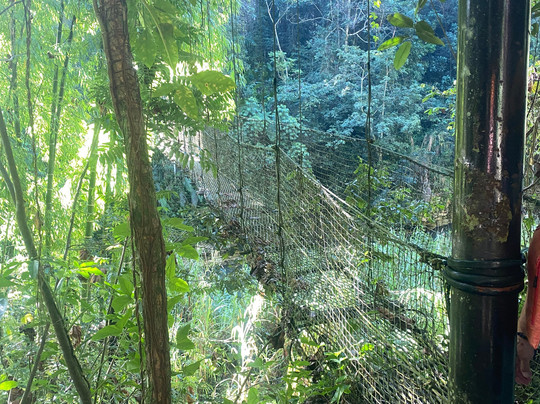 Batey Adventures-Utuado必去景点