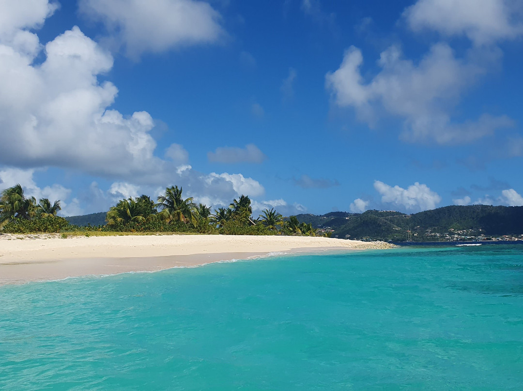 Froggy's Reef Tours and Snorkeling Carriacou-Carriacou Island必去景点