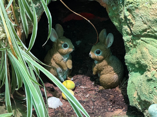 Pixie and Fairy Village-Jacobs Bay必去景点