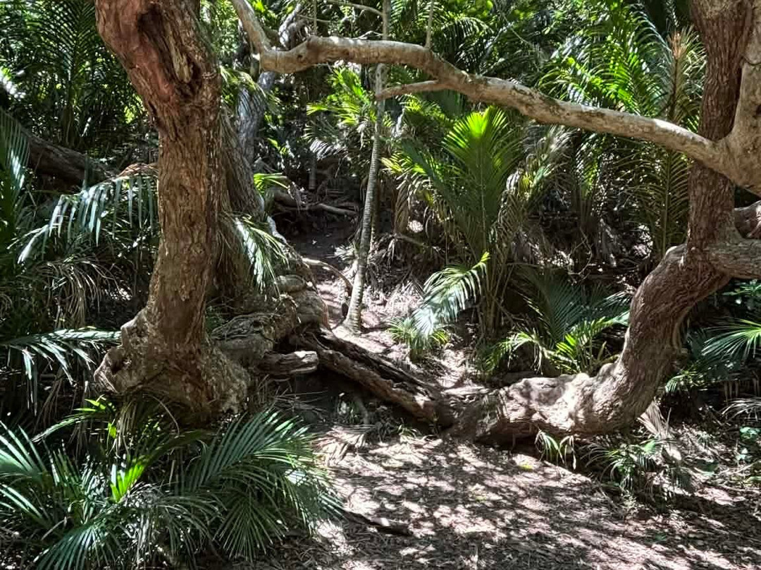 Karekare Falls-Karekare必去景点