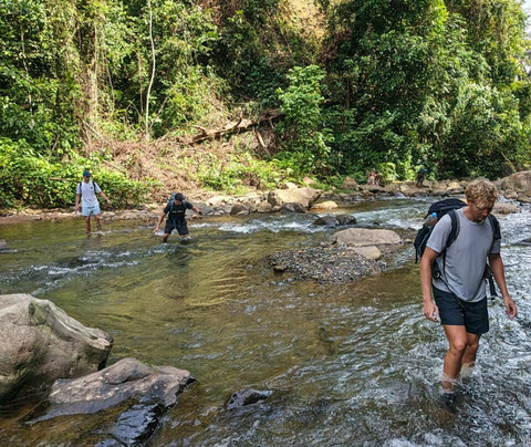 Sumatra Orangutan Explore-武吉拉旺必去景点