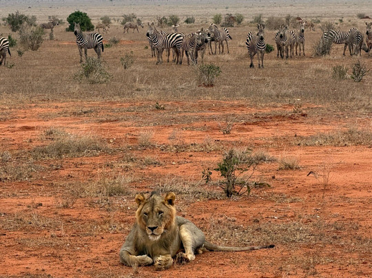 Nero Guida Turistica-瓦塔木必去景点