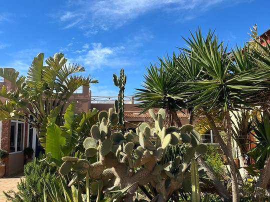 Auberge Kahina主图