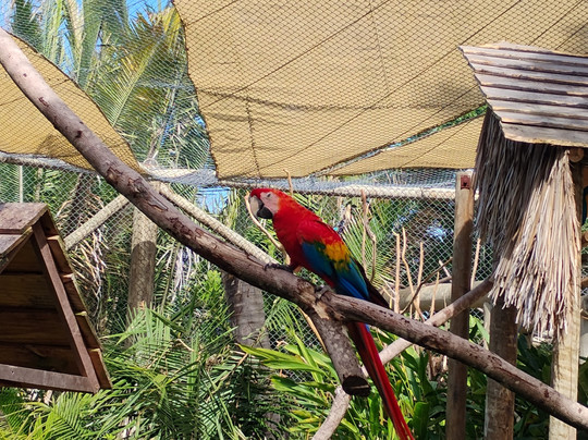 Parque Arvorar-Aquiraz必去景点