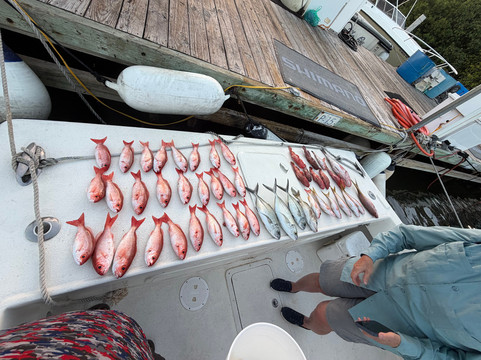 Neptune Adventures-圣 托马斯必去景点