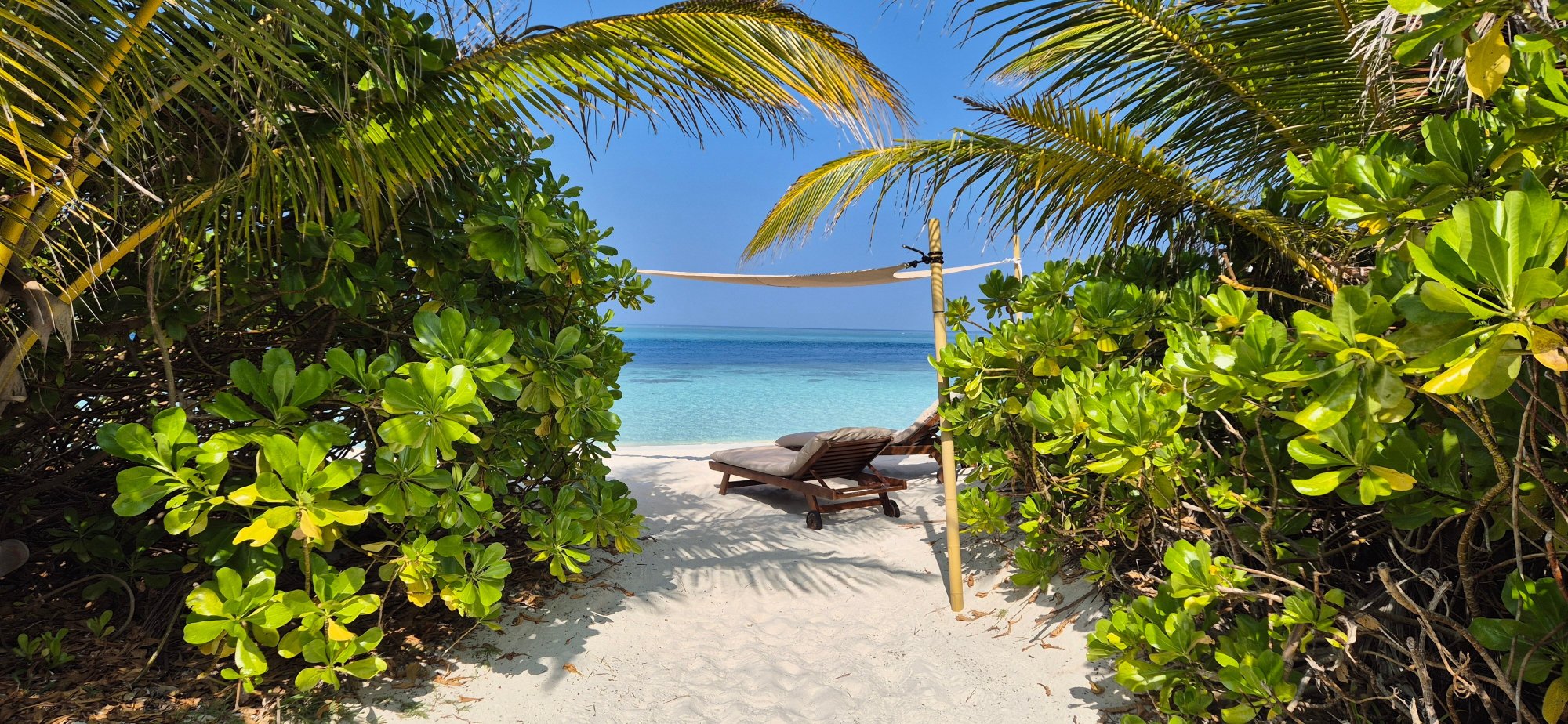 马尔代夫岛多纳库希隐避温泉度假村-泳池