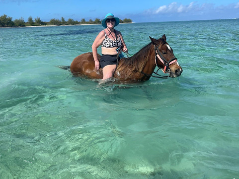 Pampered Ponies, Limited-西湾必去景点