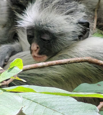 UROA SMILE TOURS-乌罗阿必去景点