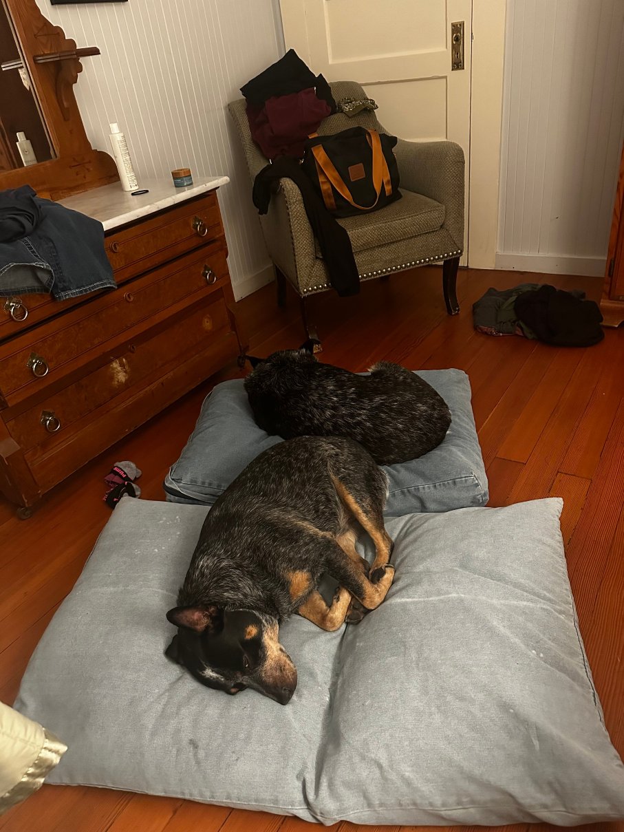 斯库尔屋旅馆-客卧