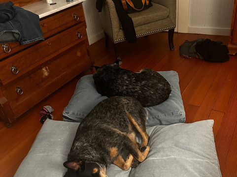 斯库尔屋旅馆主图