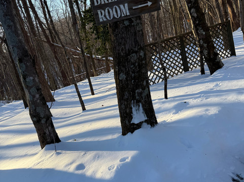 Pilot Knob Inn主图