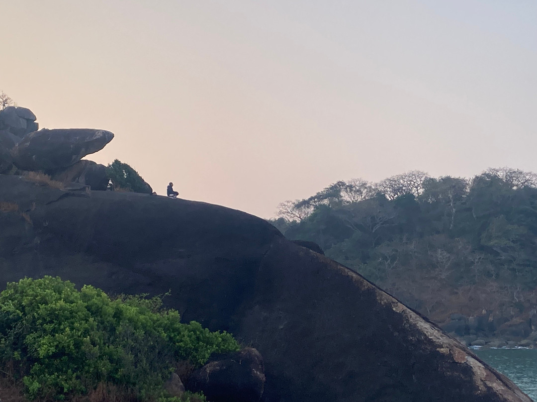 Goa Yogashala : Yoga Teacher Training in Goa India-格纳戈纳必去景点