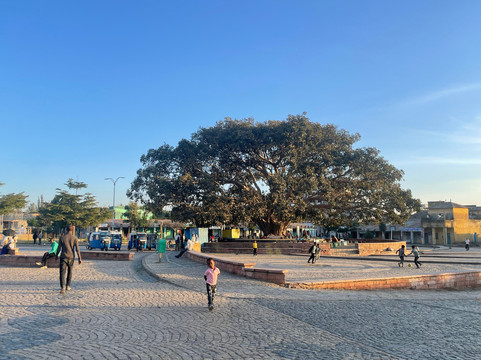 North Ethiopia Tours-Axum必去景点