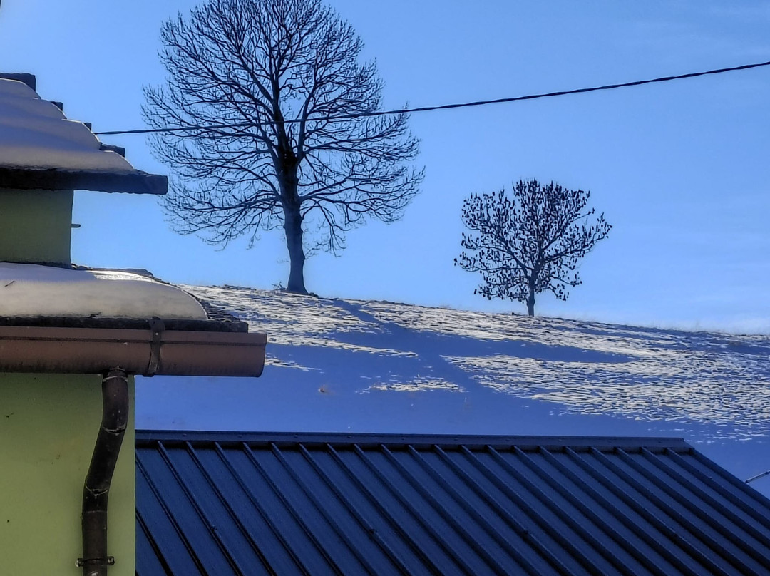 Casa natale del mago Foeto-Velo Veronese必去景点