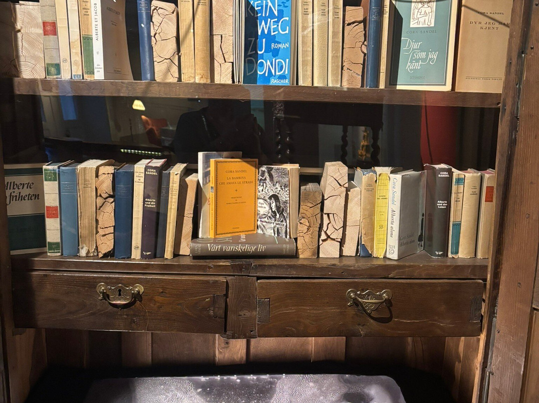 Perspektivet Museum-特罗姆瑟必去景点