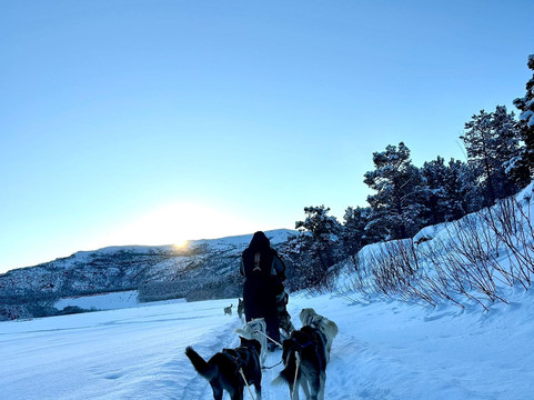 Trasti & Trine AS-阿尔塔必去景点