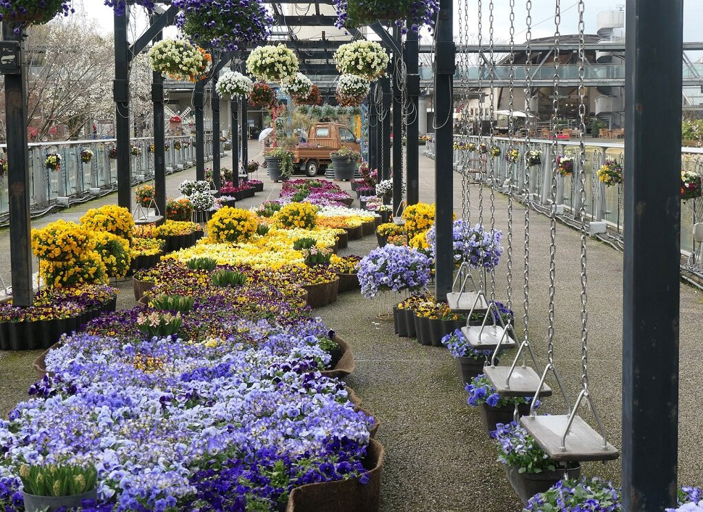Tottori Hanakairo-Flower Park-南部町必去景点
