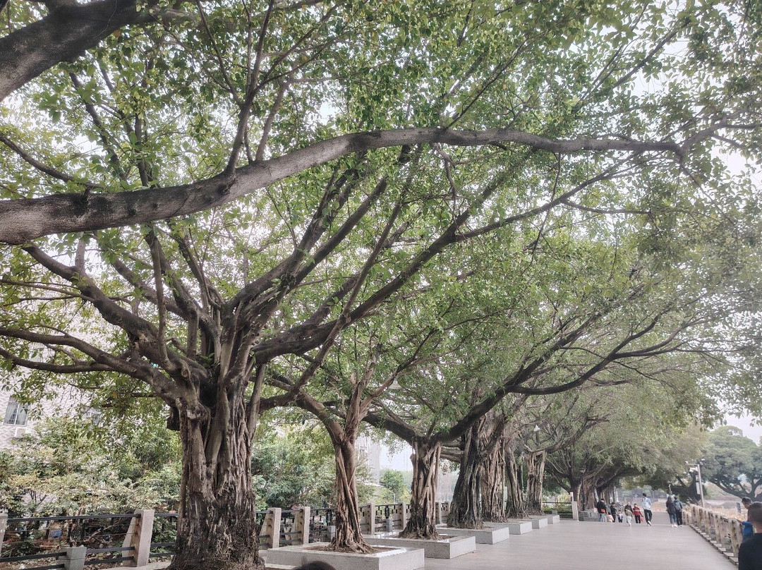 黄埔古港-广州市必去景点