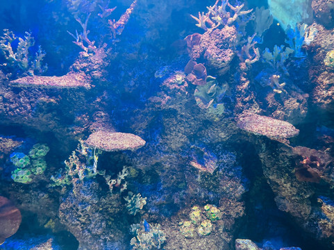 Malta National Aquarium-卡拉必去景点