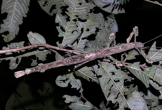 Frog's Paradise-Bijagua de Upala必去景点