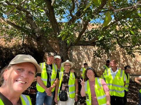 James Boag Brewery Experience-朗塞斯顿必去景点