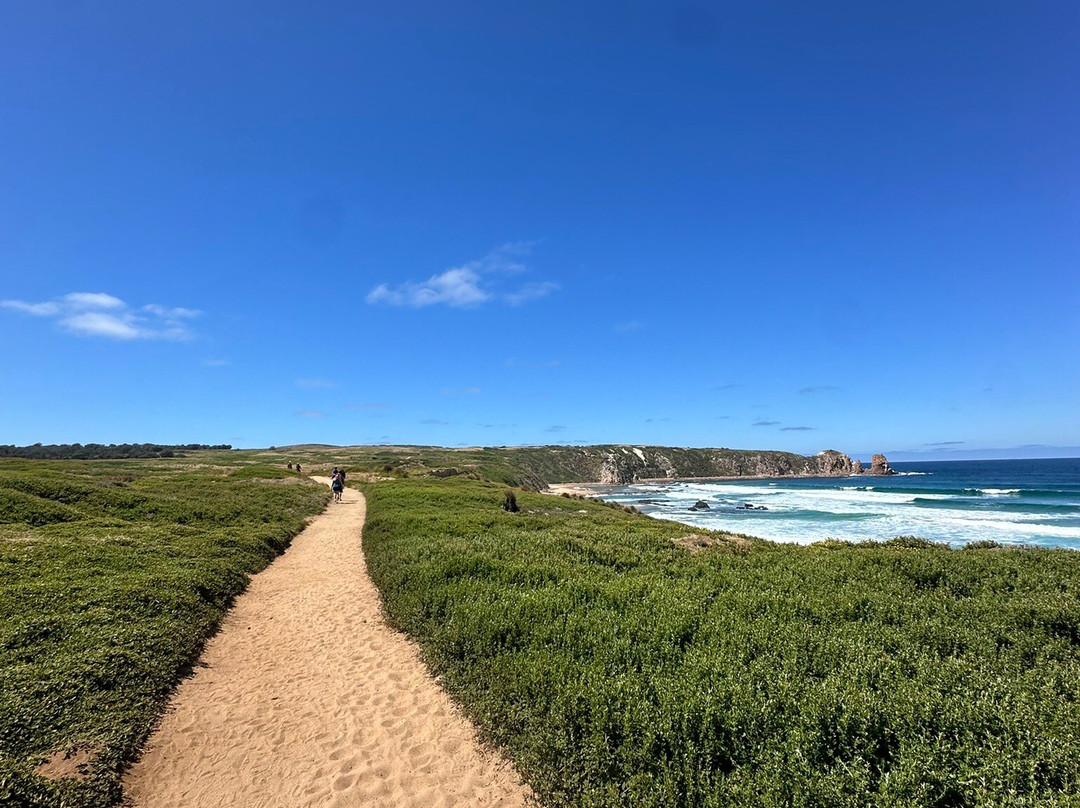 Cape Woolamai Walk-Cape Woolamai必去景点