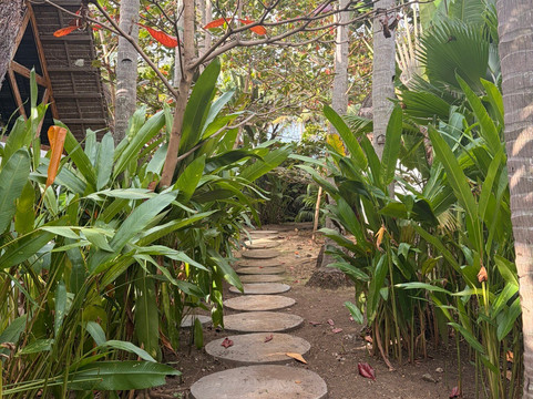 Bermuda Triangle Bungalows主图