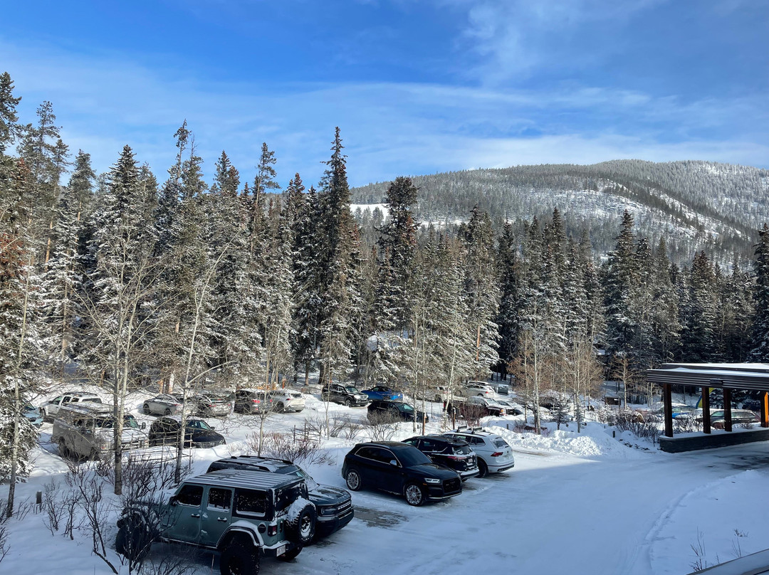 杜松子酒店及酒馆主图