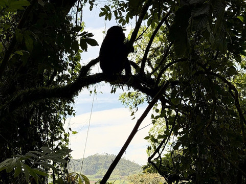 Ngoni Safaris Uganda-坎帕拉必去景点