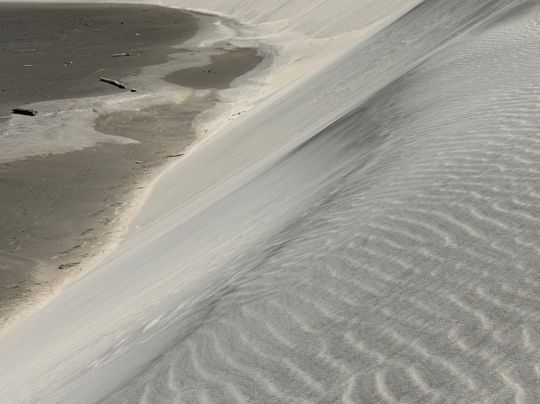 Farewell Spit Eco Tours-Collingwood必去景点
