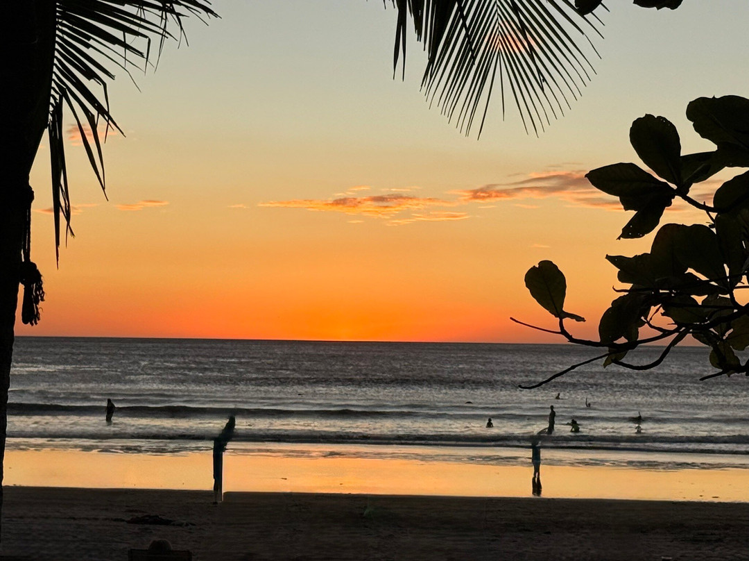 Playa Avellana-Playa Avellanas必去景点