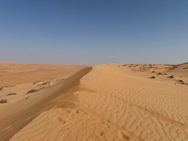 阿拉伯之夜度假村&水疗中心-官方